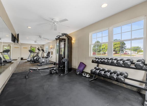 Fitness Center with Dumbbell Equipment