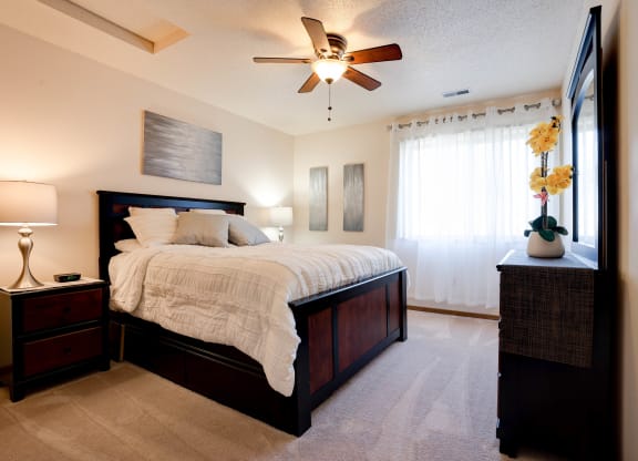 Bedroom With Large Double Windows
