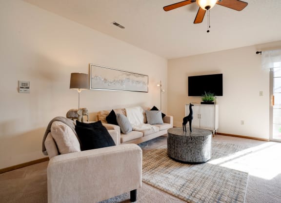 Spacious Carpeted Living room