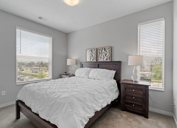 Bedroom with Abundant Natural Light
