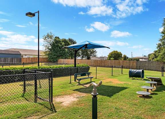 Dog Park with Equipment