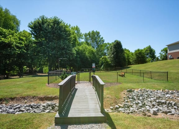 Spacious Dog Park
