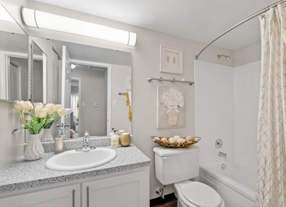 Bathroom with White Cabinets