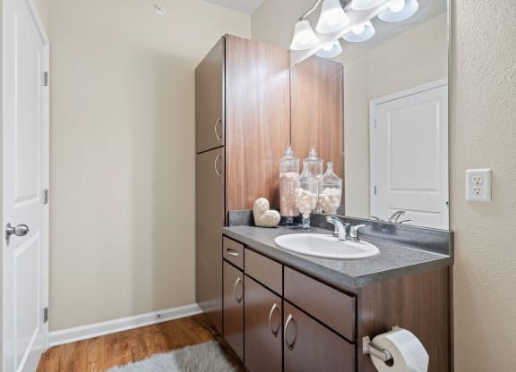 Bathroom Vanity with Storage