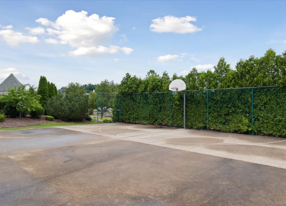 Basketball Courts