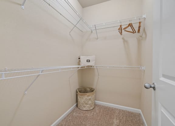 Walk-In Closet With Built-In Shelving