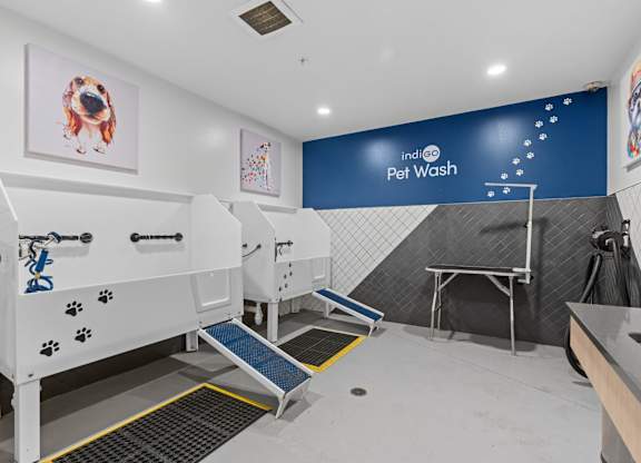 A pet wash station with a blue wall and a white dog picture on the wall.