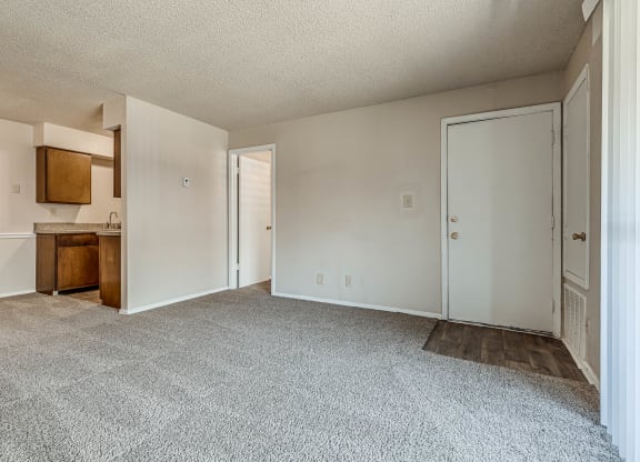 Living Room with Carpet