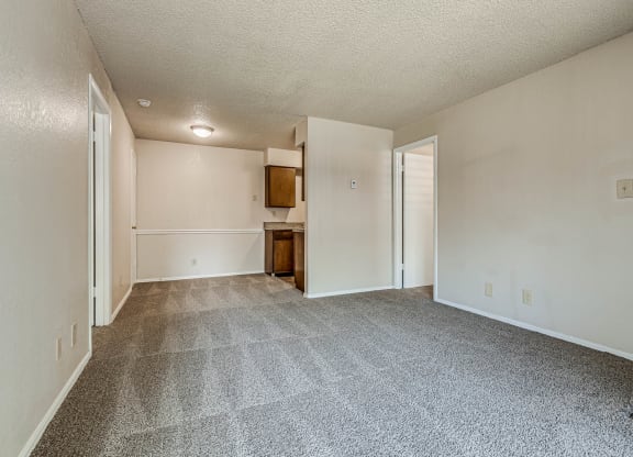 Spacious Living Area with Carpet