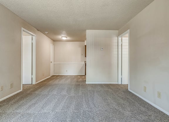 Living Area with Carpet