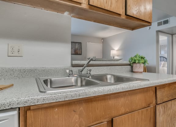 Stainless Steel Sink