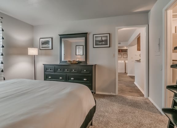 Bedroom With Attached Walk-In Closet