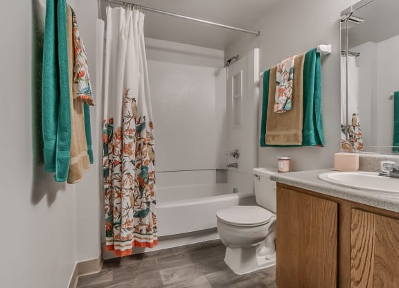Bathroom With Wood-Style Flooring