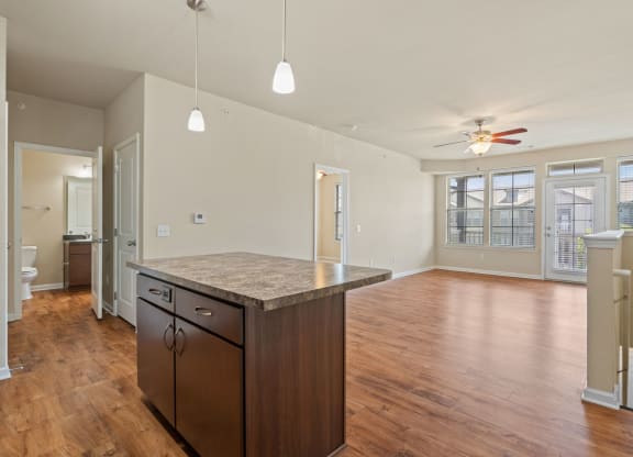 Spacious Living Area With Wood-Style Flooring