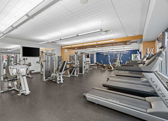 A gym with treadmills, weights, and exercise equipment.