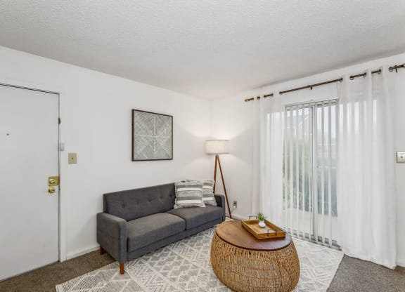 Living Area with Carpet