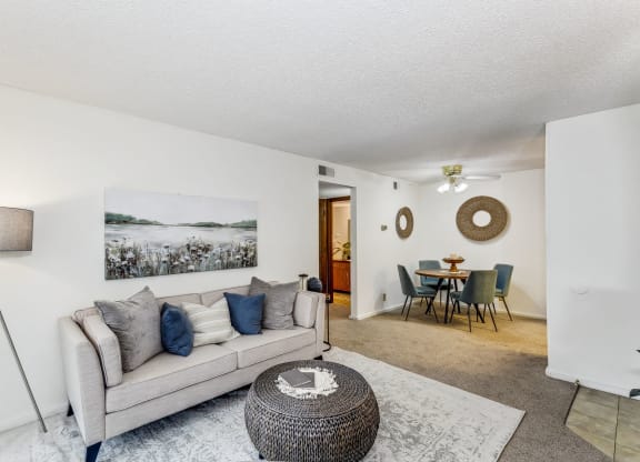 Living Room with Carpet