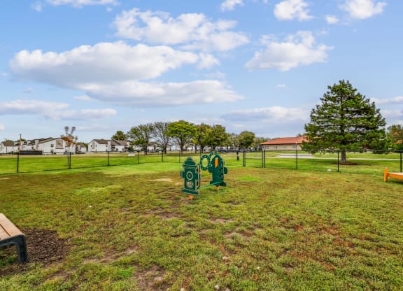 Dog Park