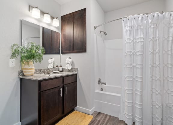 Bathroom with Modern Finishes