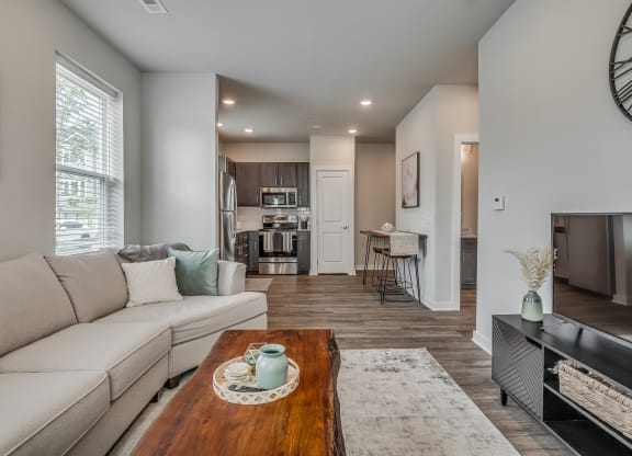 Spacious Living Area With Wood-Style Flooring