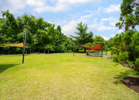 Lush Outdoor Green Space