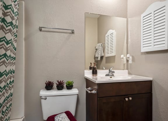 Bathroom With Espresso Vanity & Wall Medicine Cabinet