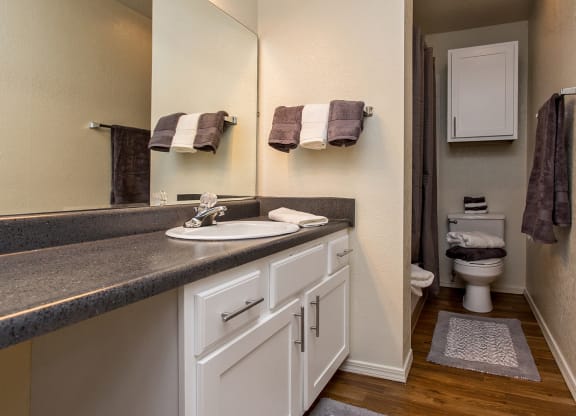Large Bathroom Vanity