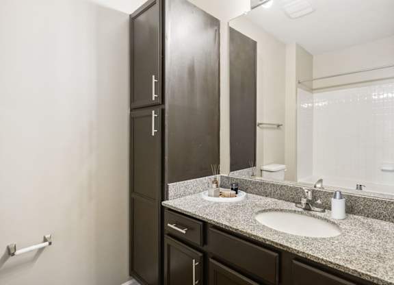 Bathroom with Modern Finishes