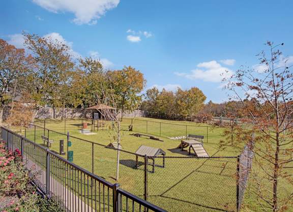 Dog Park