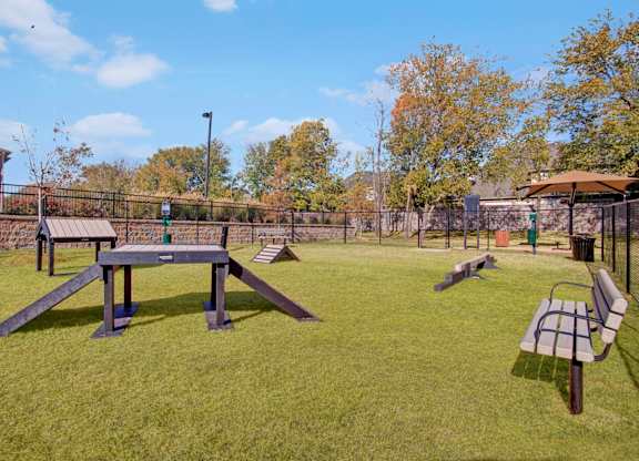 Dog Park with Equipment