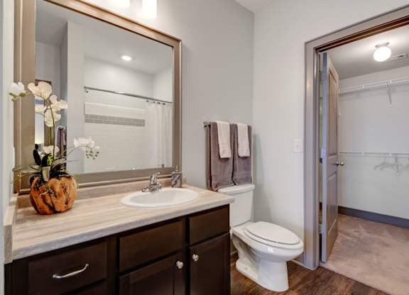 Bathroom with Modern Finishes