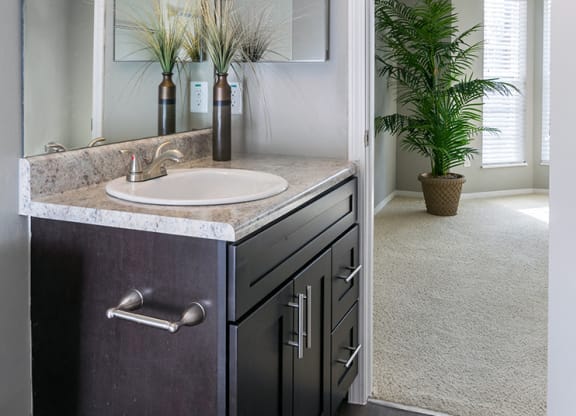 Granite Bathroom Countertop with Wood Style Flooring