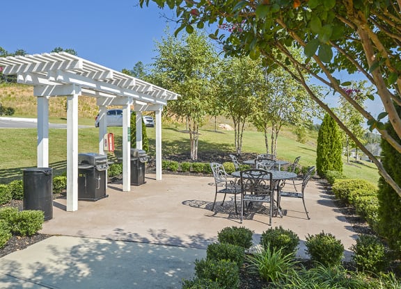 BBQ Grill and Picnic Area