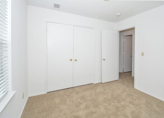 Large Bedroom Closet with Plush Carpeting