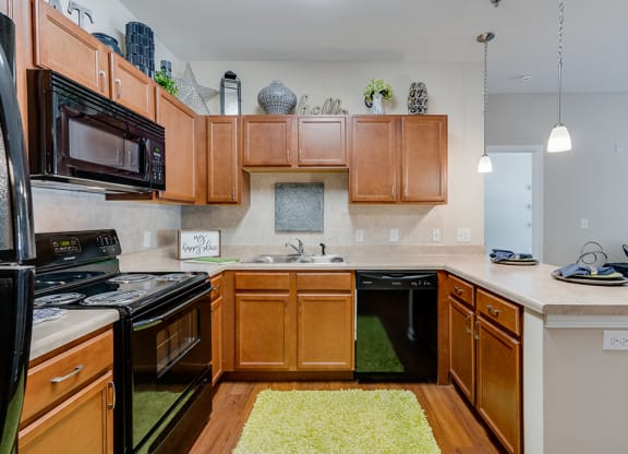 Kitchen with Black Appliances