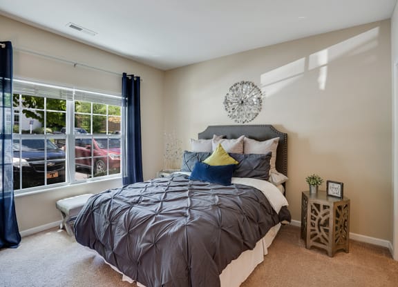 Bedroom with Plush Carpet and Natural Light