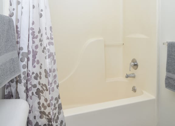 Spacious Shower and Tub