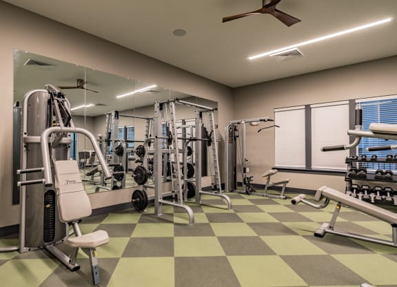 Gym With Strength Training Equipment