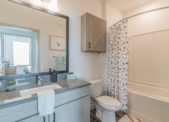 Bathroom With Wood-Style Flooring