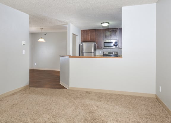 Spacious Living Area with Carpet