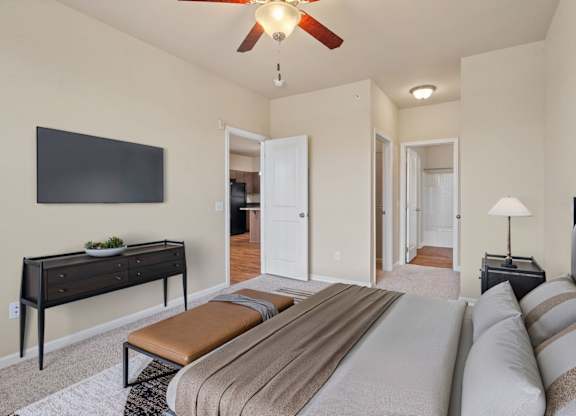 Bedroom with Plush Carpeting