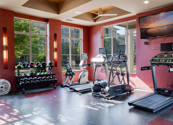 Cardio and Free Weight Equipment