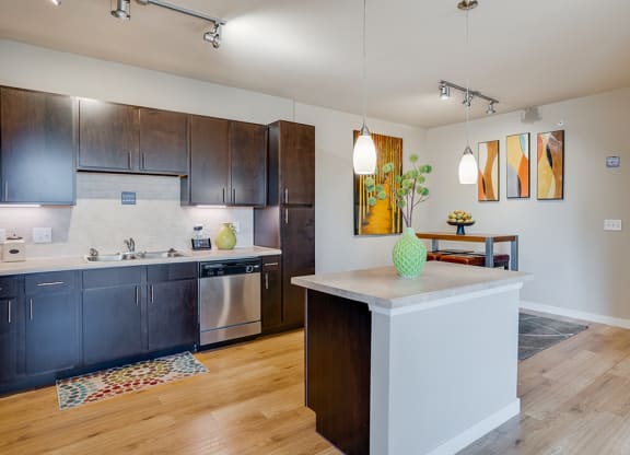 Large Windows with Dark Cabinetry