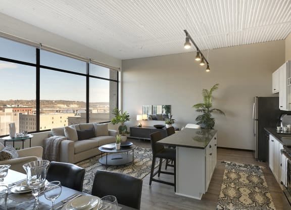Expansive Windows with Skyline Views