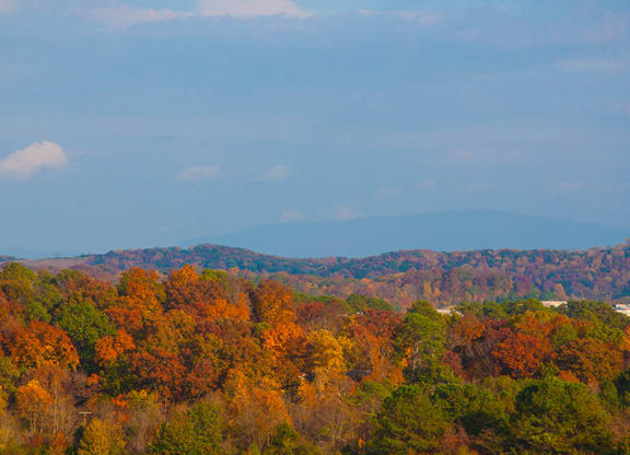 Fall Views at Brookes Edge