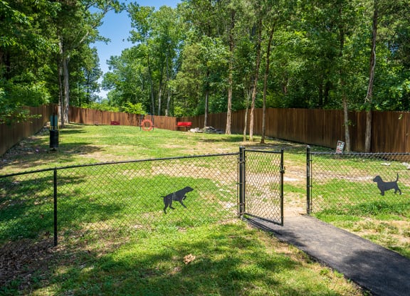 Fenced In Dog Park