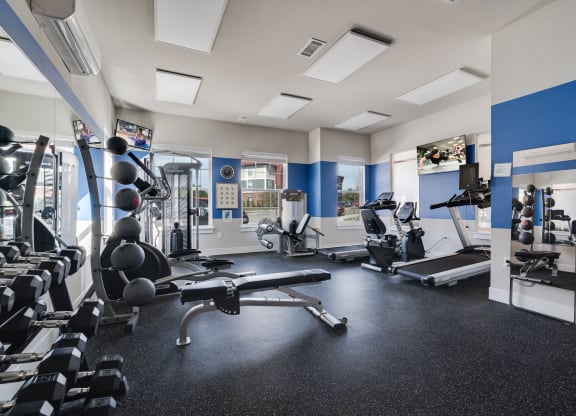 Free Weights & Strength Training Equipment