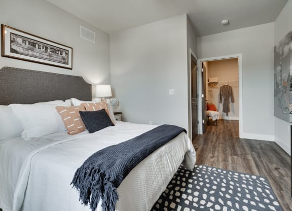 Bedroom With Walk-In Closet