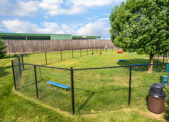 Fenced In Dog Park