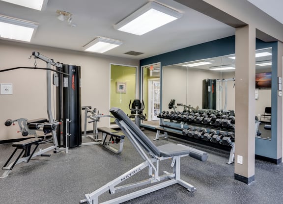 Adjustable Weight Bench with Weight Rack